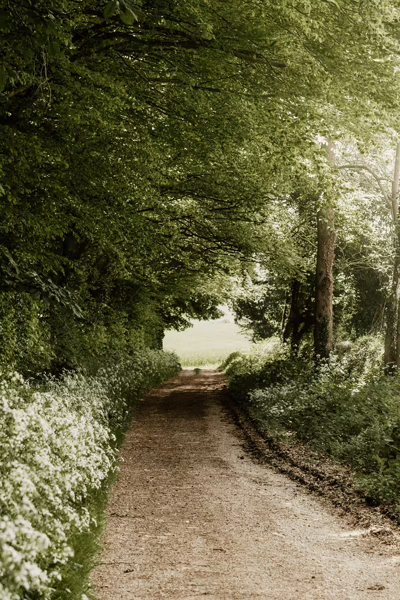 IMG · Footpath · Dusk silhouette