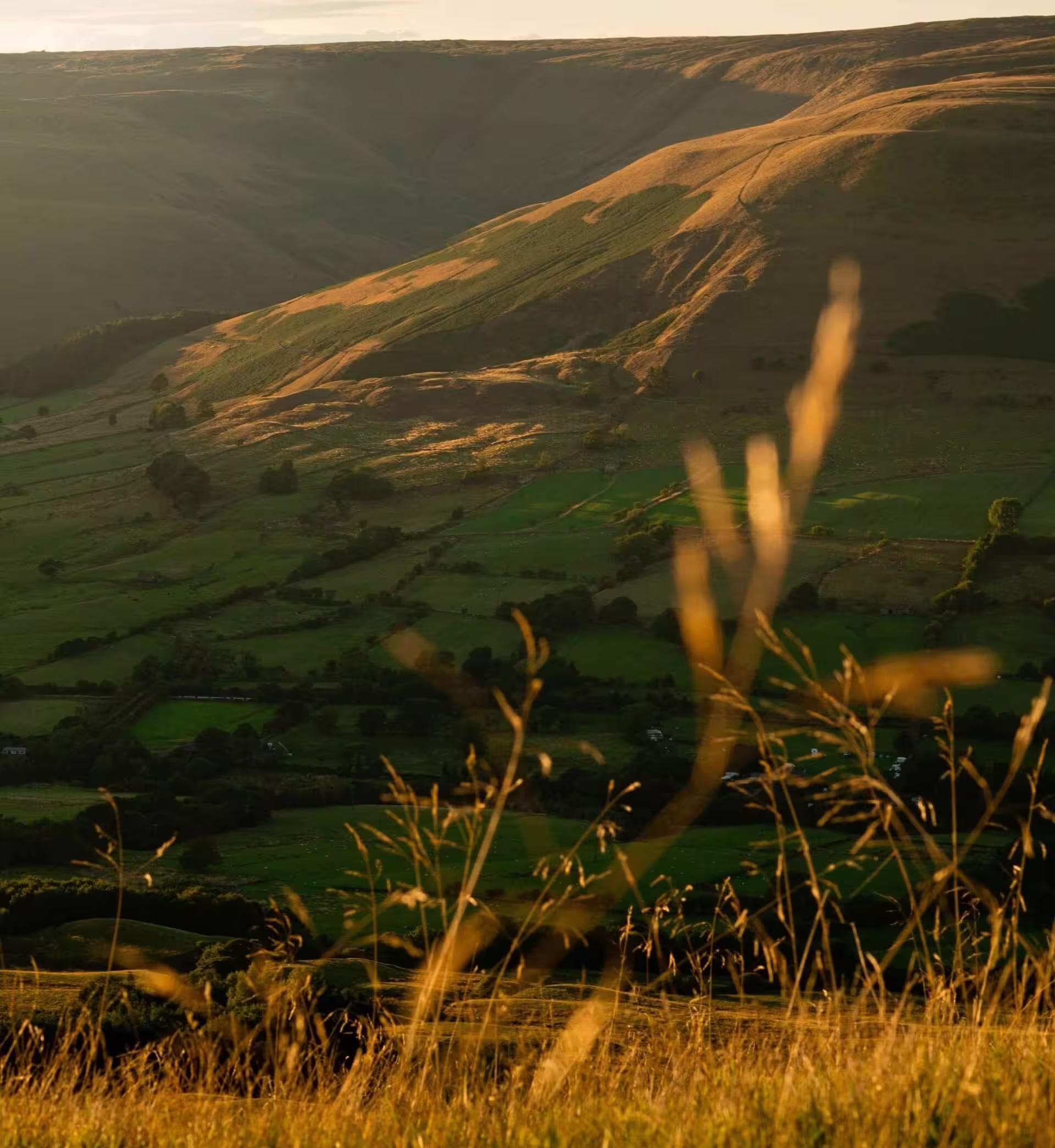 Golden-hour view across the Yorkshire Vales at Hollowfield